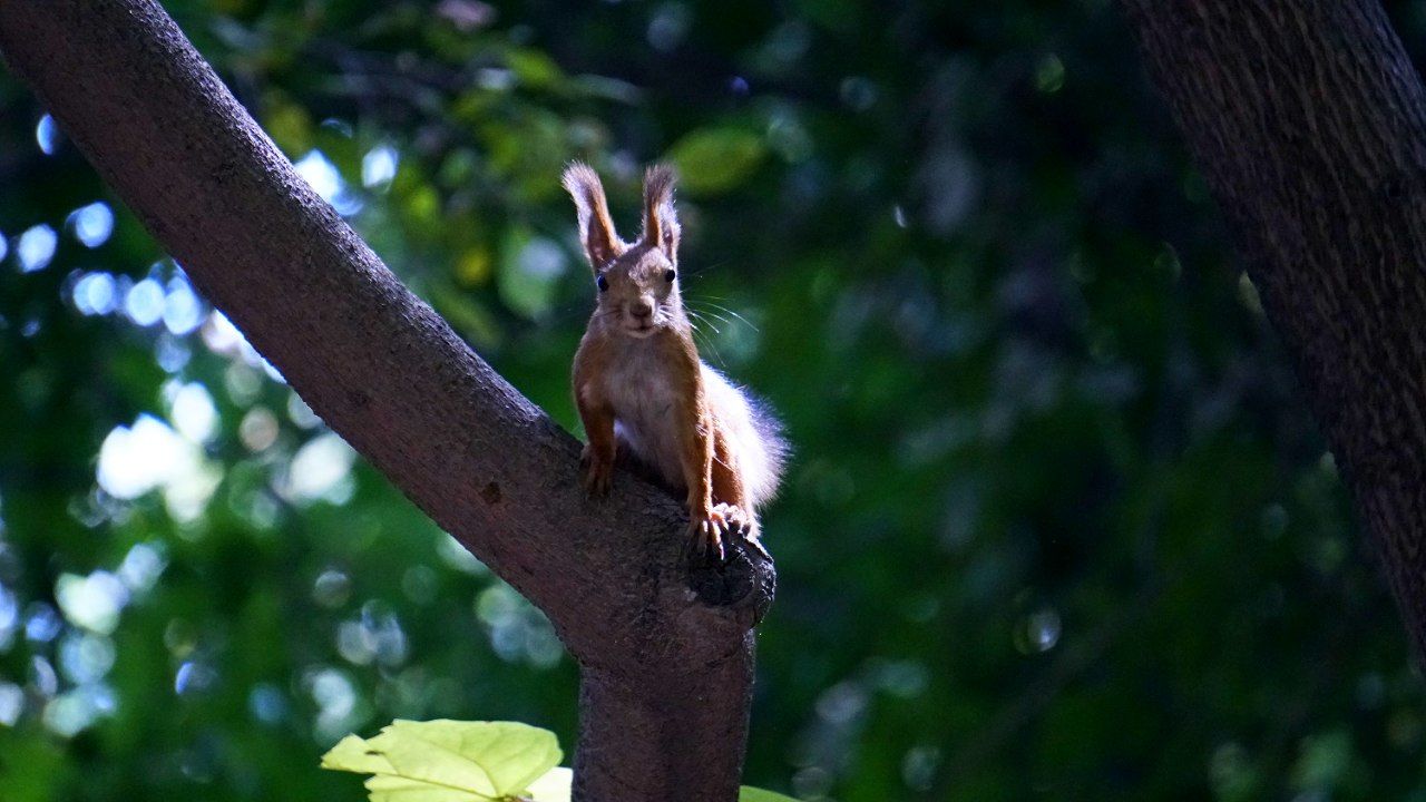 IMG_20211012_172615_393