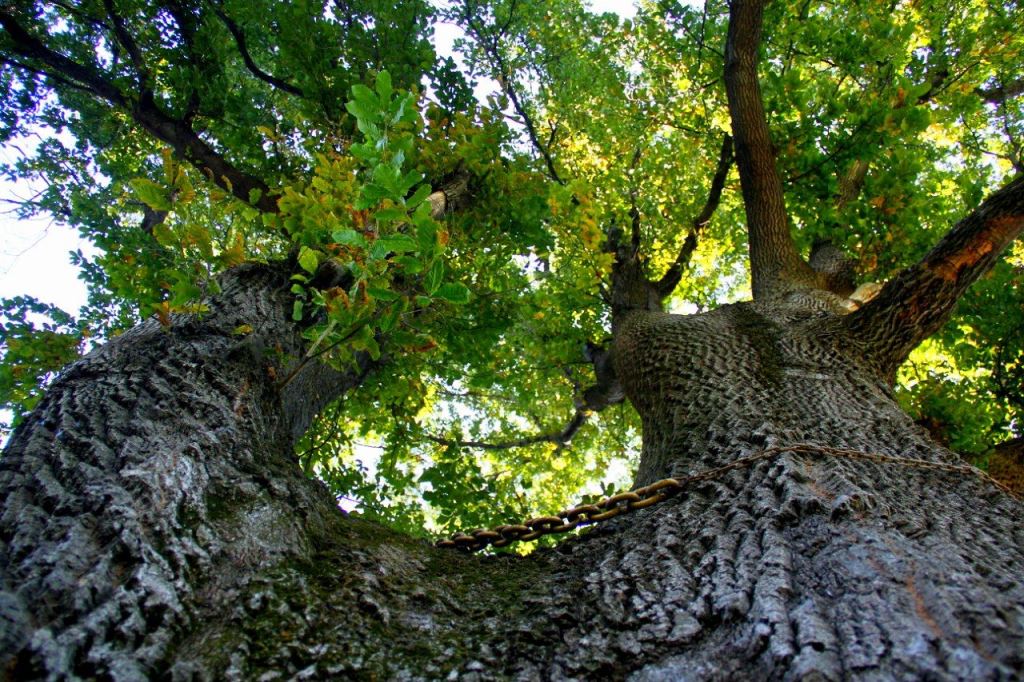 IMG_20211012_172655_780