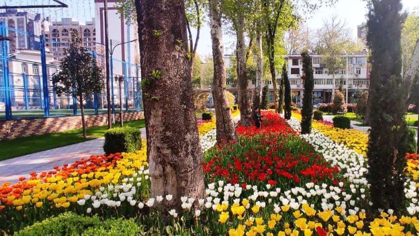 photo_2021-04-16_13-14-01