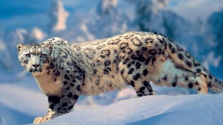 photo_2021-10-19_09-52-34