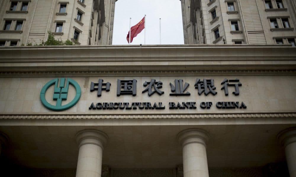 photo_2021-10-19_14-01-34