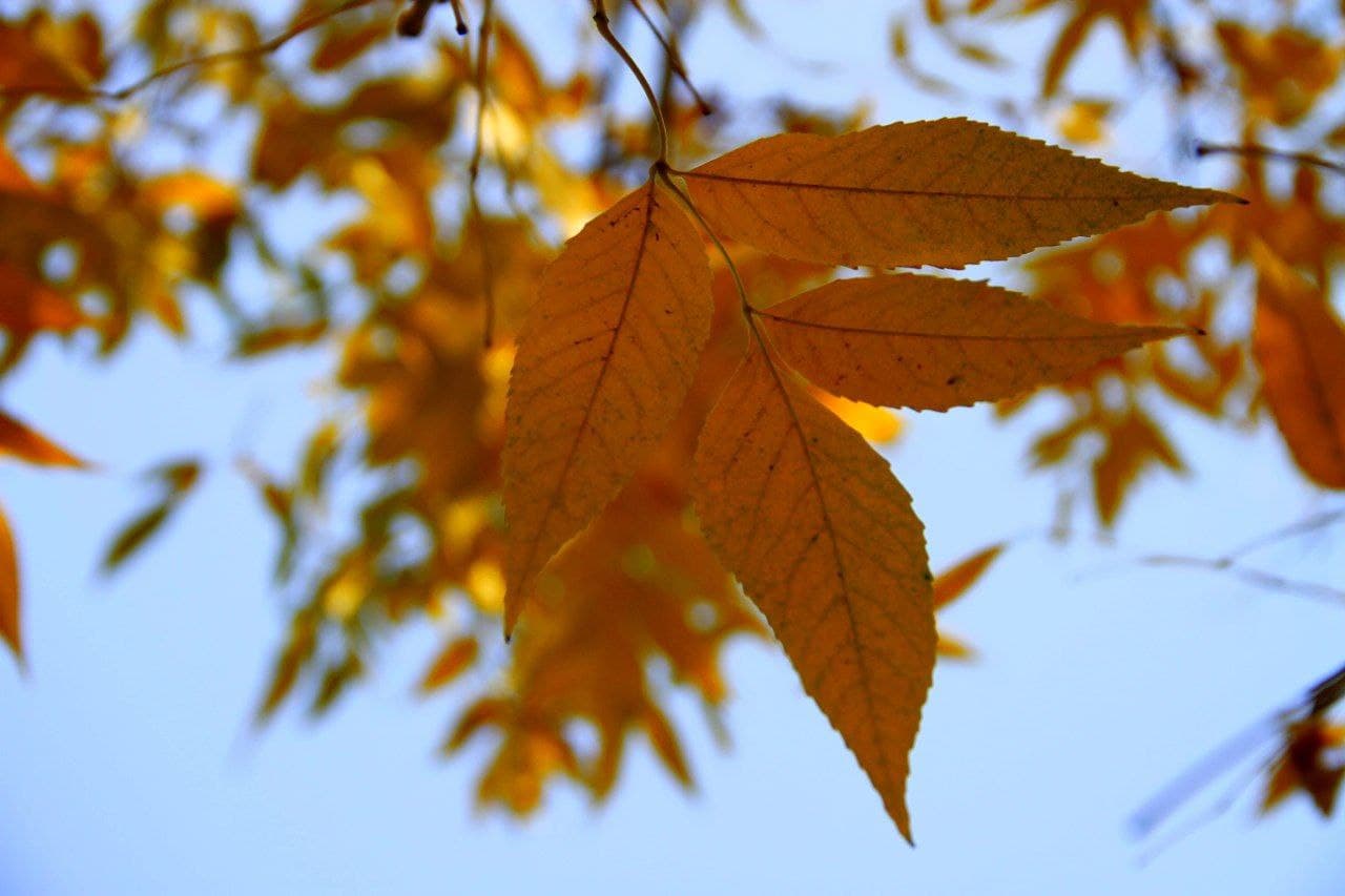 photo_2021-10-25_16-33-05