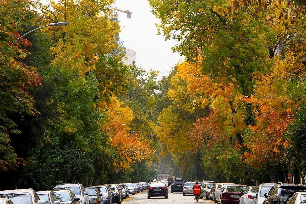 photo_2021-10-28_14-41-38