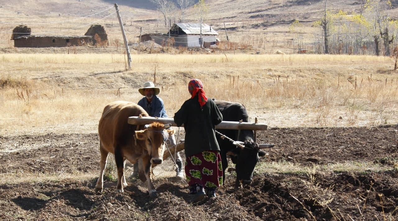 photo_2021-10-28_16-00-43