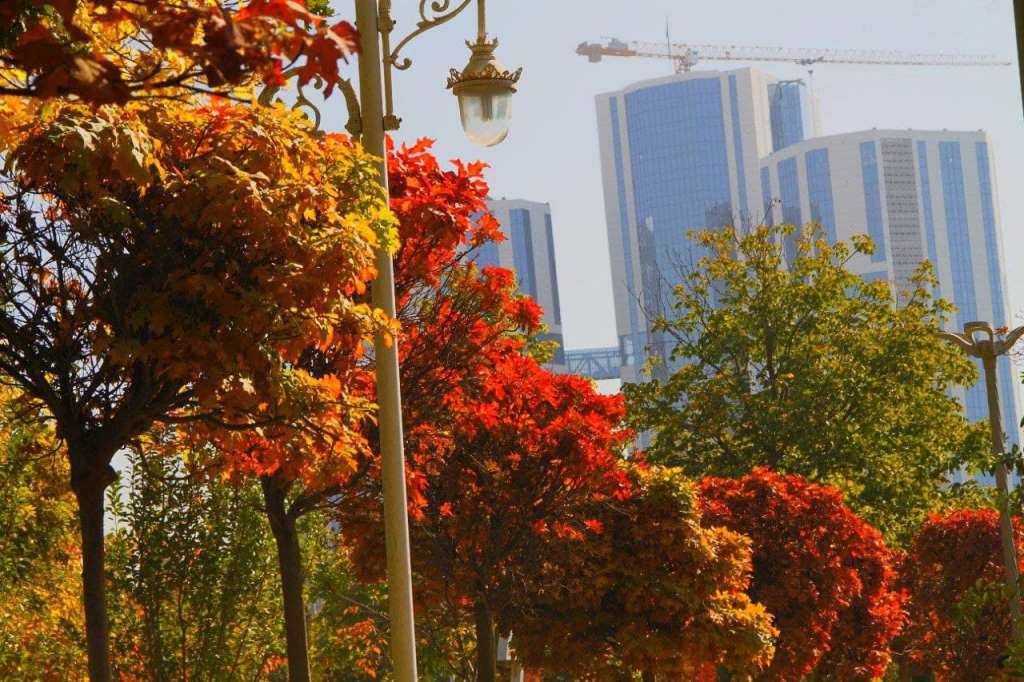 photo_2021-10-28_17-04-39