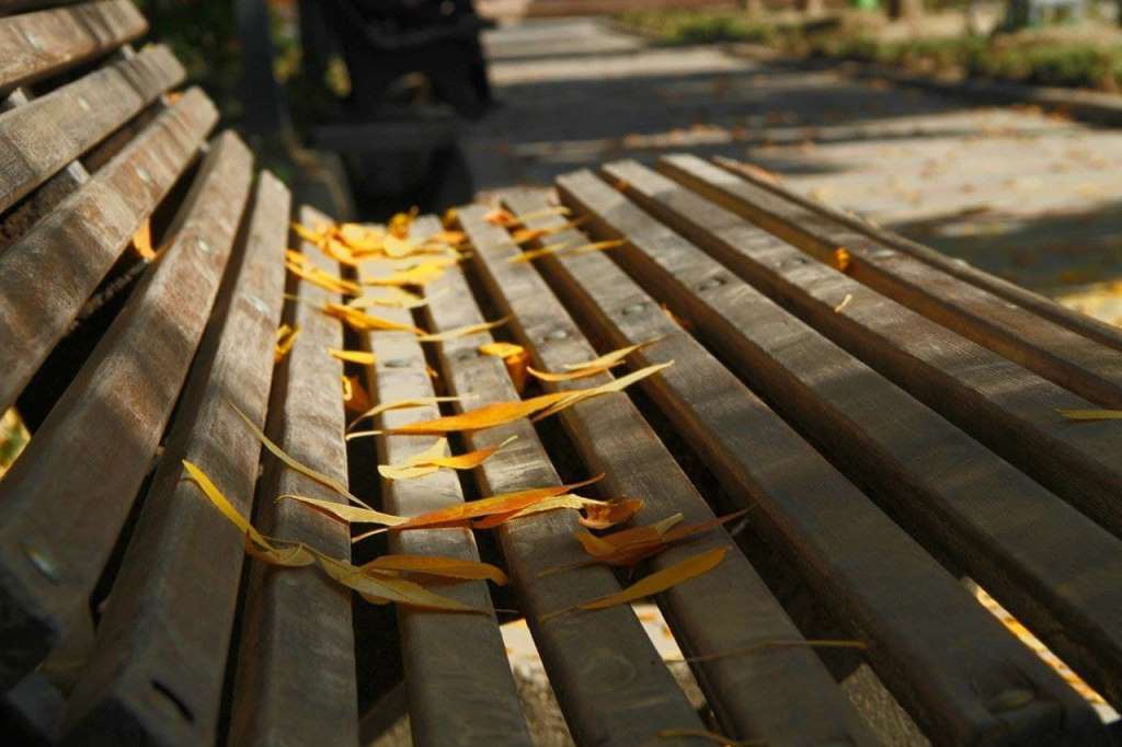 photo_2021-10-28_17-07-28