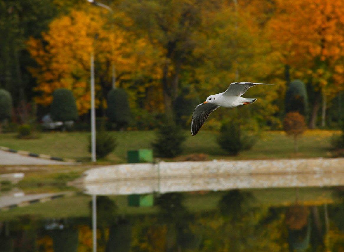 photo_2021-10-28_17-15-10