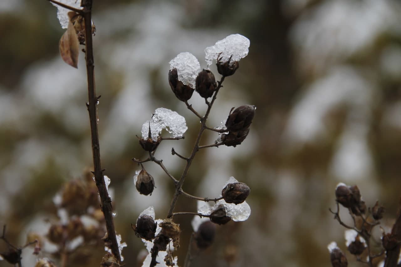 photo_2021-11-18_11-37-18