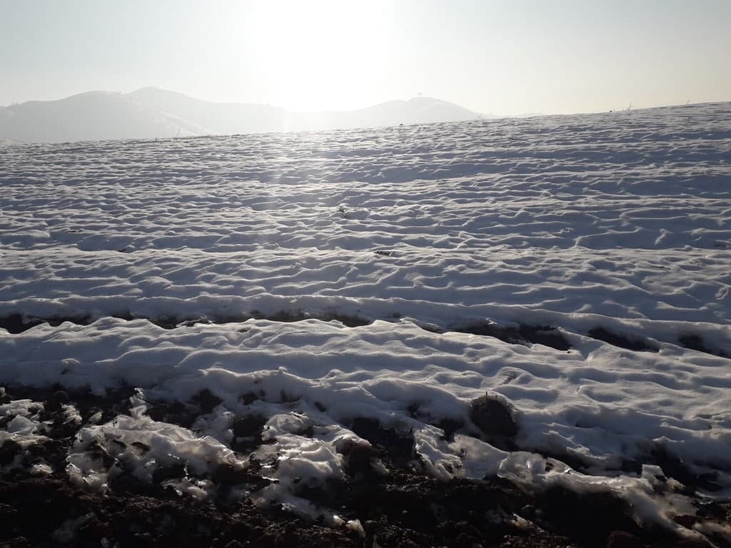 photo_2021-11-18_14-16-06