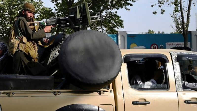 _120092105_9ae82262-8eea-4025-9c6a-a88e1ea08a2c