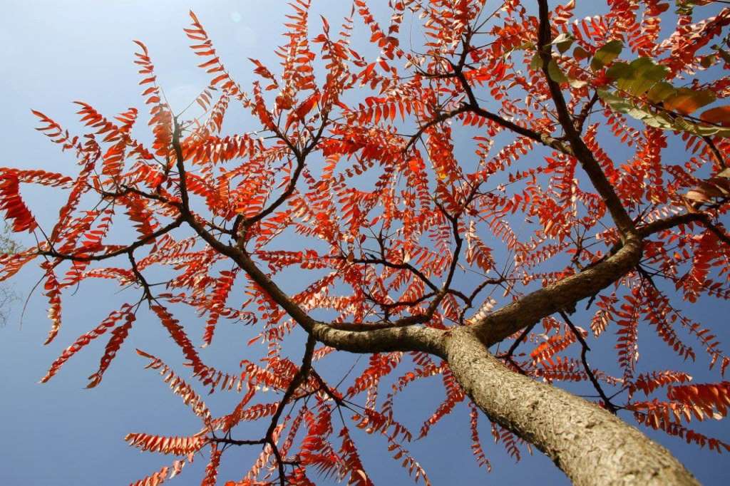 photo_2021-10-28_17-05-07