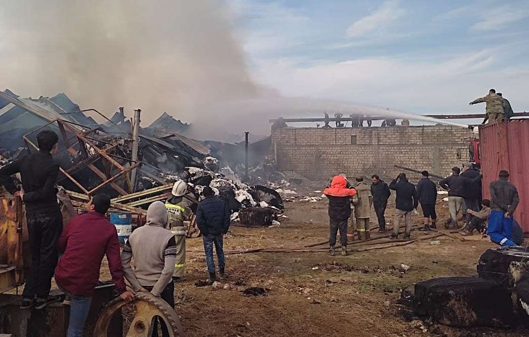 photo_2021-11-25_11-08-19