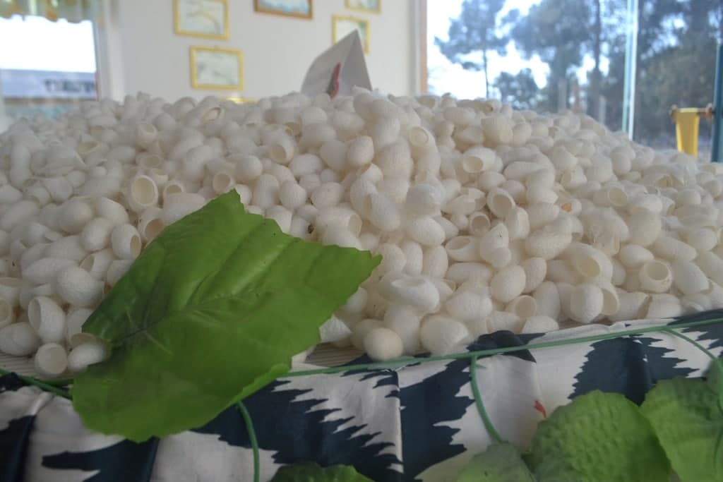 photo_2021-12-23_13-07-54