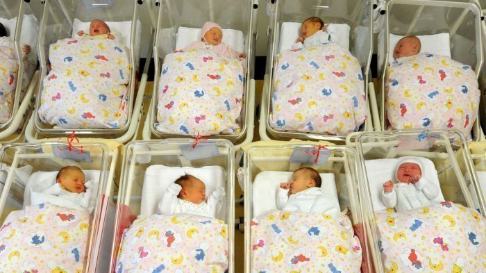 623589-INNERRESIZED600-700-291219375-baby-2gf9