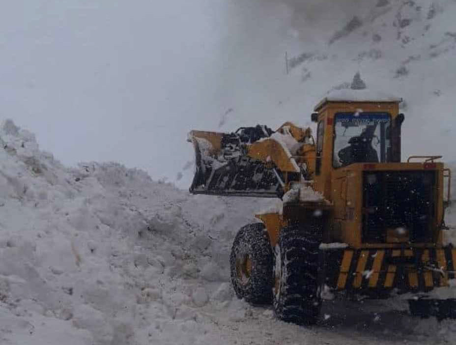 photo_2022-01-17_12-37-02