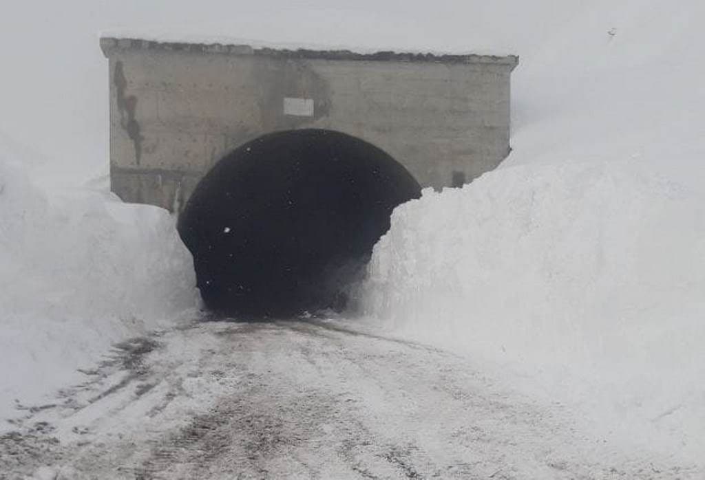 photo_2022-01-20_09-06-34