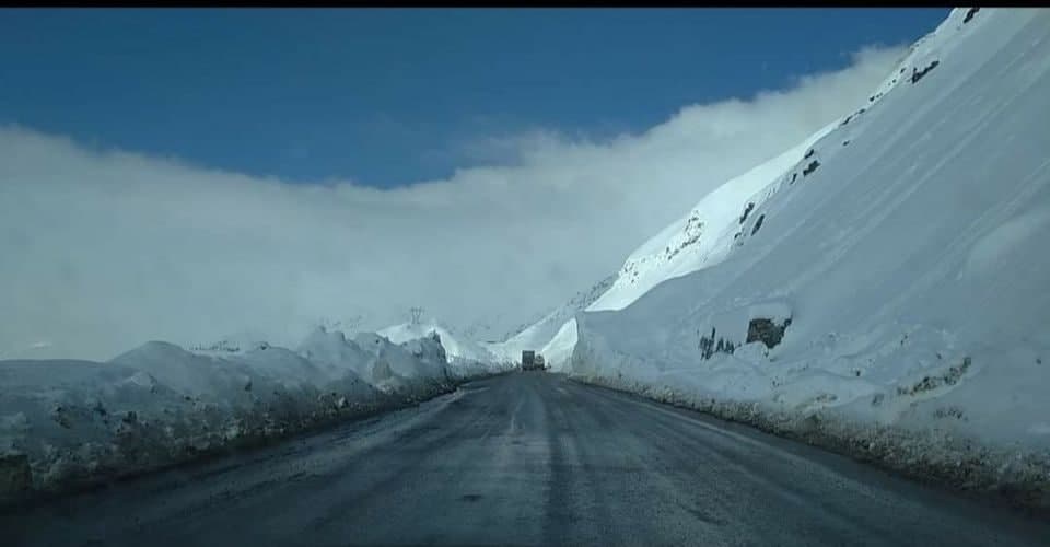 photo_2022-01-24_12-12-35