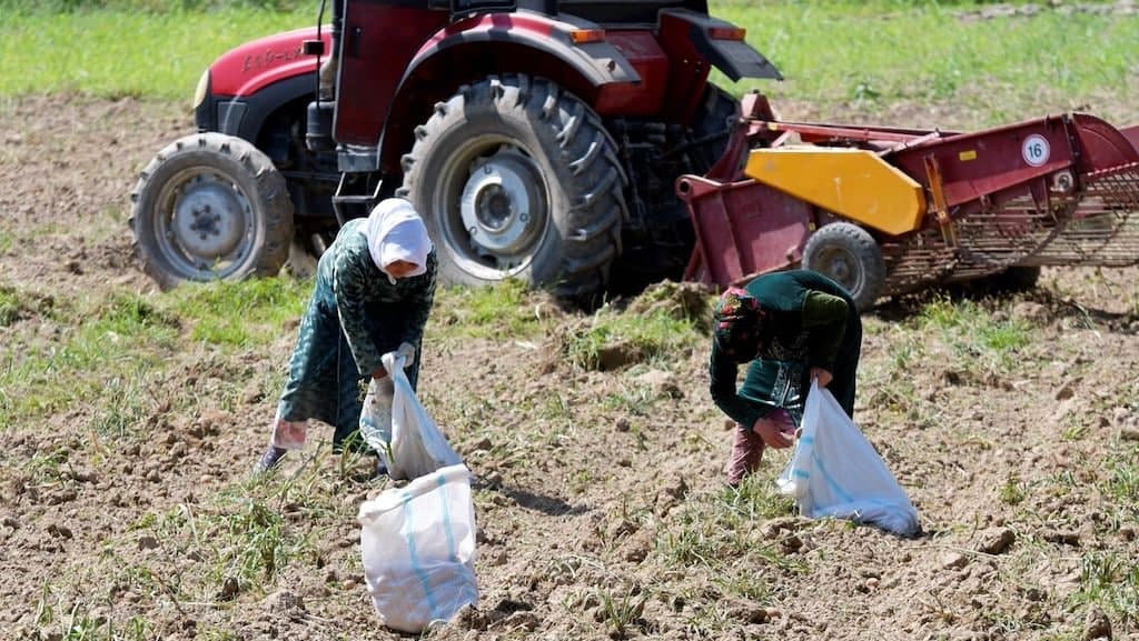 photo_2022-01-27_16-43-34