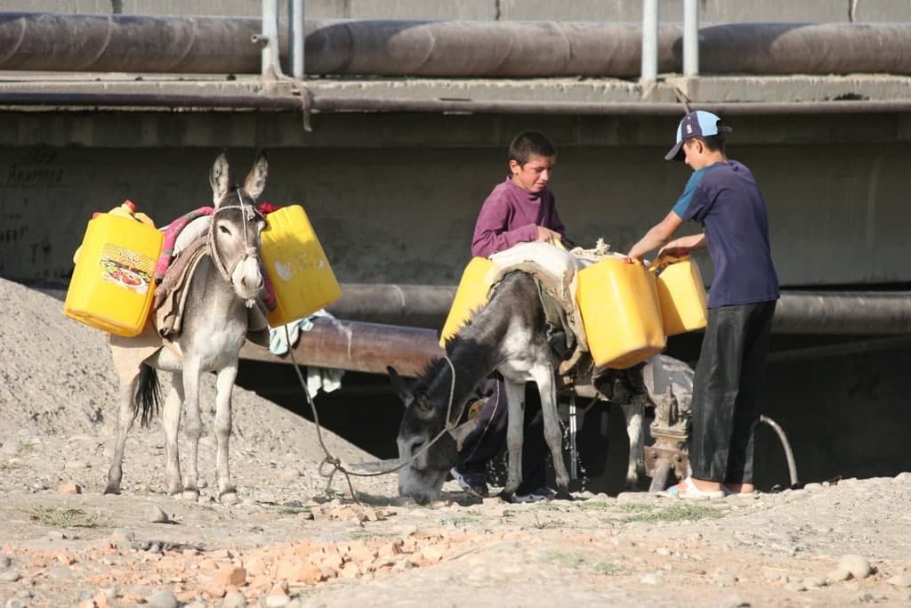 photo_2022-02-11_16-02-57