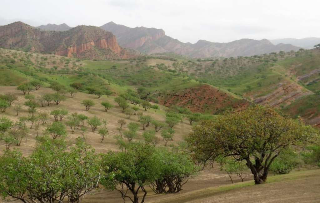 photo_2022-02-25_14-33-30