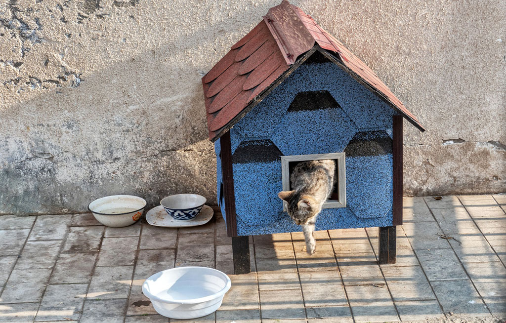 1d7c3f05-67cb-40b4-8d0e-35fa4277613e