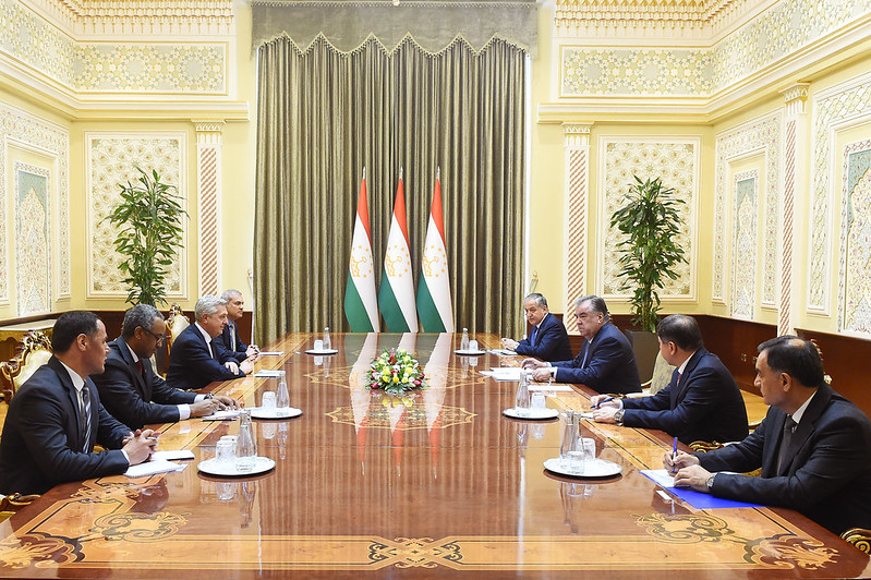 51943650591_7f9fed4eb8_c