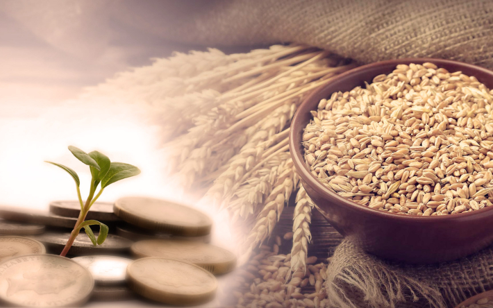 cav1p92jIL_a4_710x444