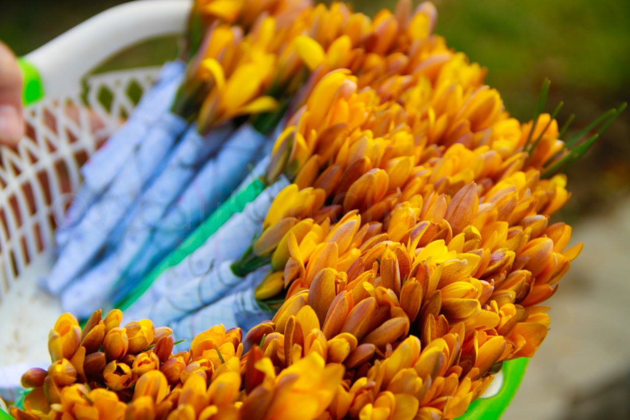 IMG_20220228_113123_957