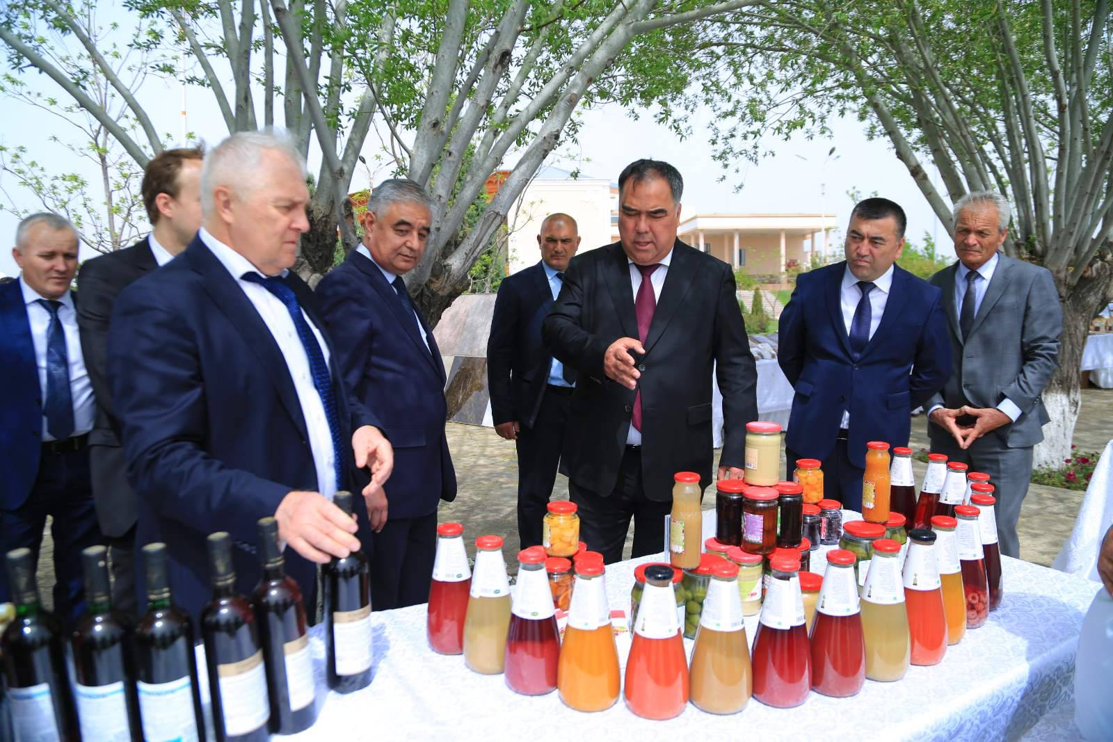 277979142_525852939105402_1803864408918221594_n