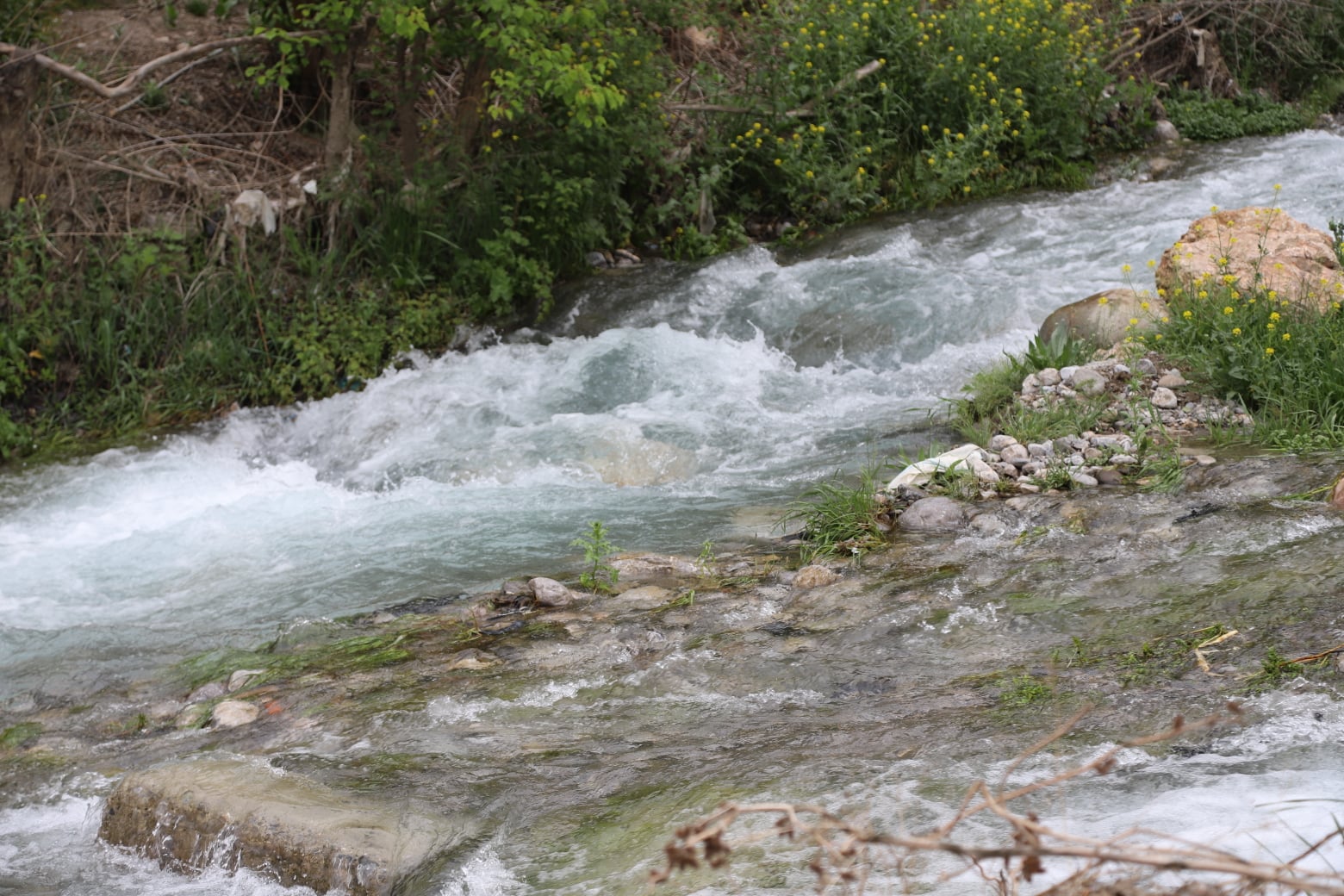 278923021_287639706905795_518135386724225711_n