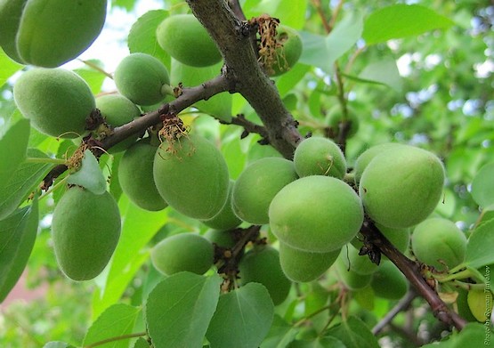 9027577_e2761cdb2d538d679cebde5fac9ae1d1_800