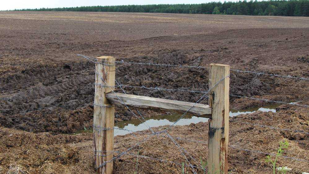 bragazeta-ru-img_3706