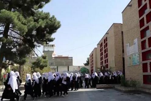 d6d92b3e-6451-4811-9f91-e5c13747a764