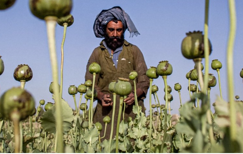 Opium