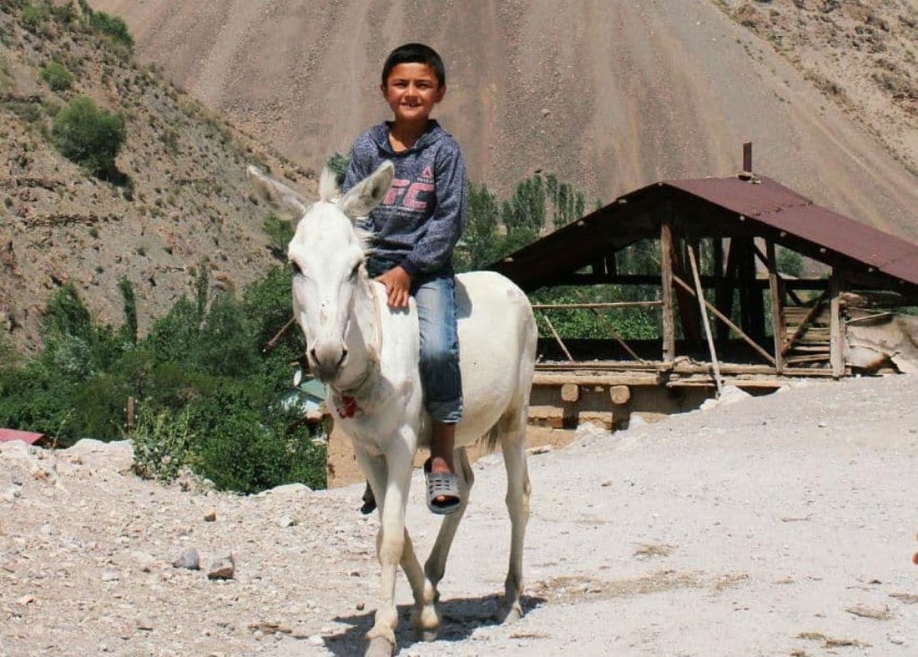 photo_2021-12-19_19-27-12