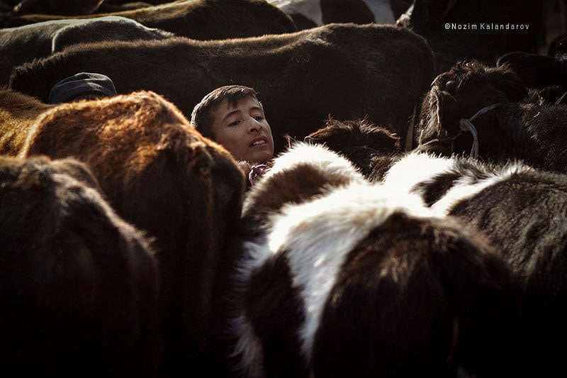 photo_2022-04-11_20-32-06