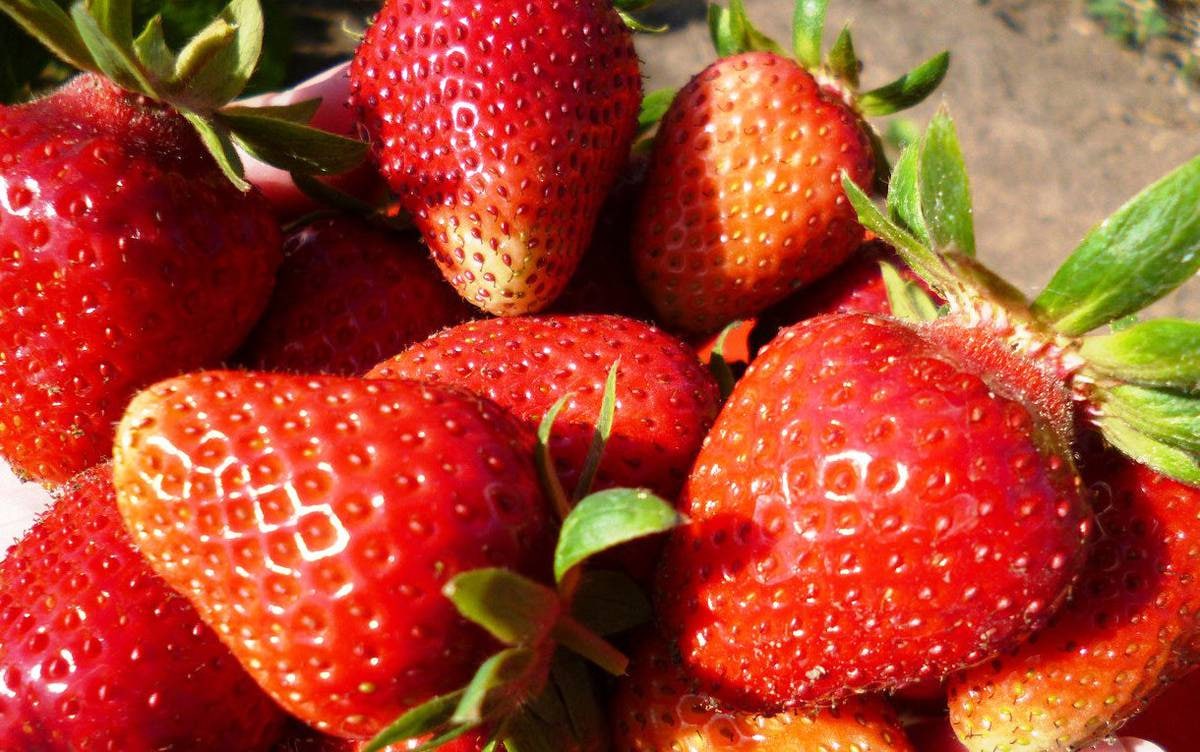 photo_2022-04-29_18-24-08