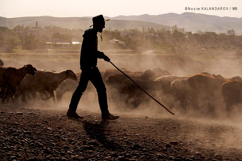 278881349_3138950549688330_2405141637250486869_n