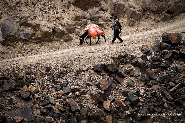 280759840_3153574088225976_3405393732793096490_n