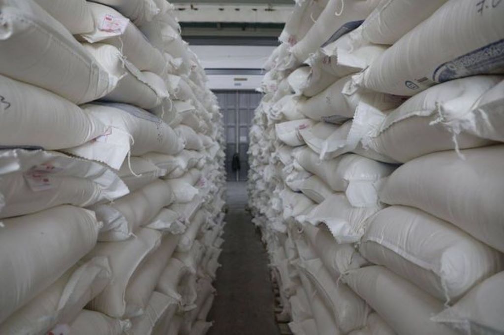 281822420_324171969843287_6102705740919832085_n