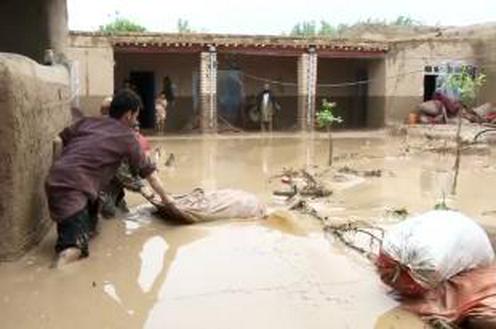 69e18f58-38a7-47be-b1e5-a2dc66a9ee27