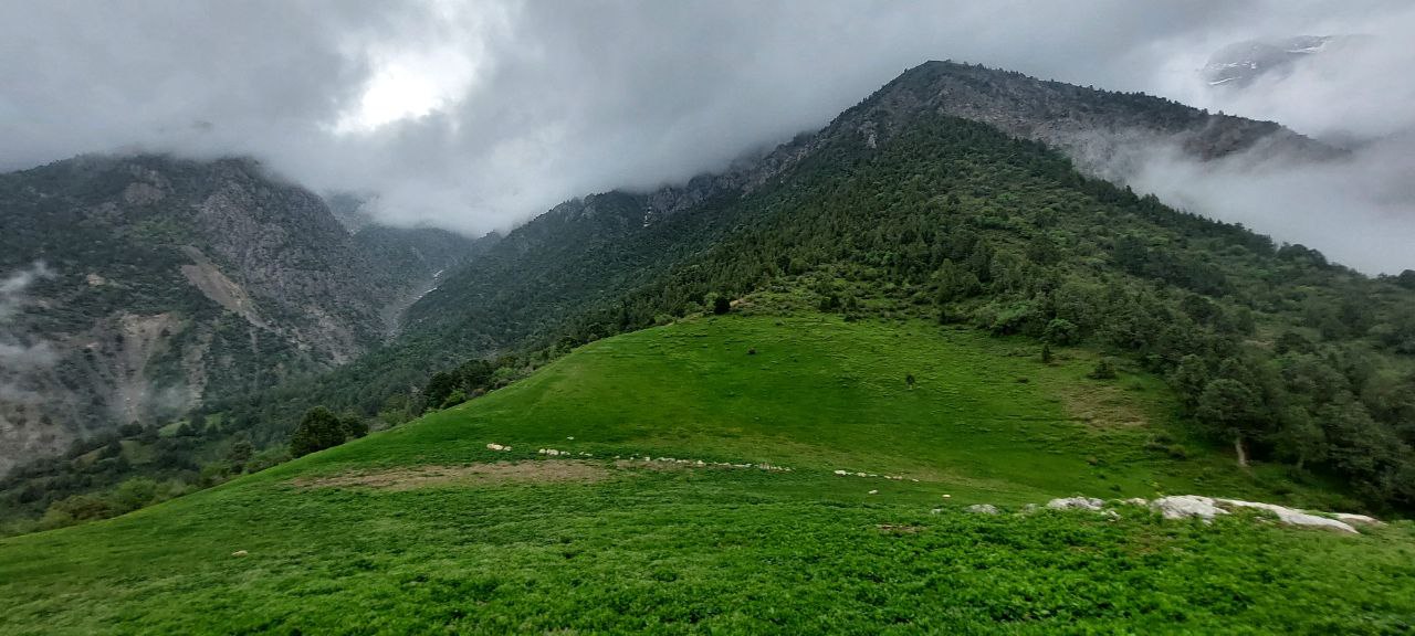 photo_2022-05-03_18-51-55