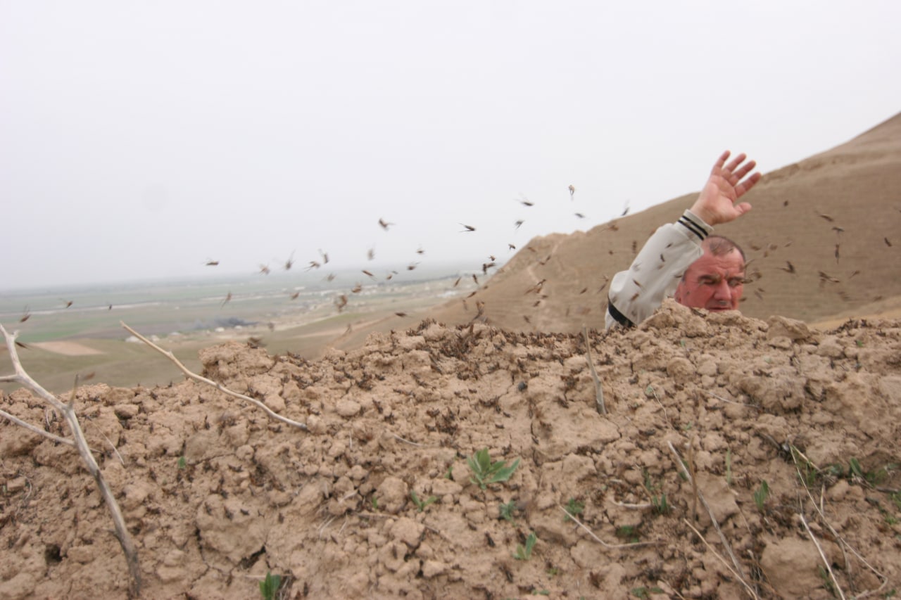 photo_2022-05-04_13-30-01