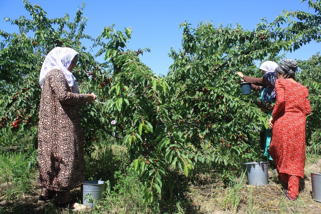 photo_2022-05-06_12-25-29