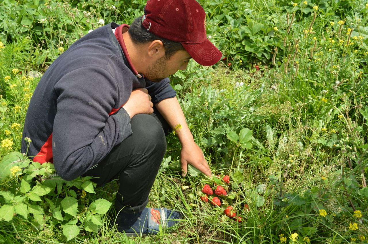 photo_2022-05-17_17-08-04