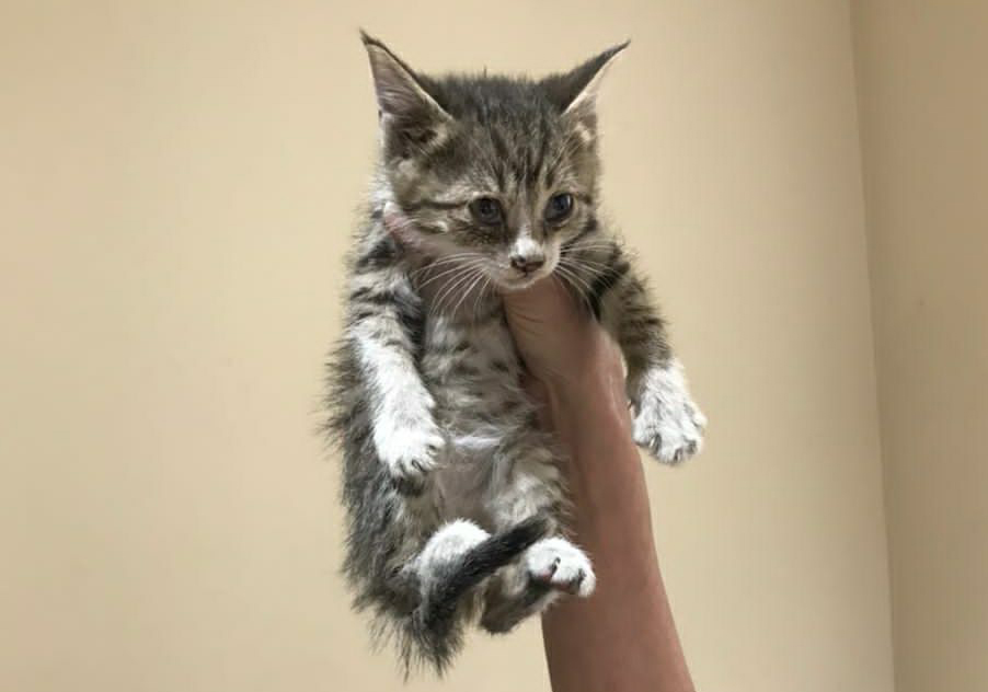 photo_2022-05-18_14-38-47