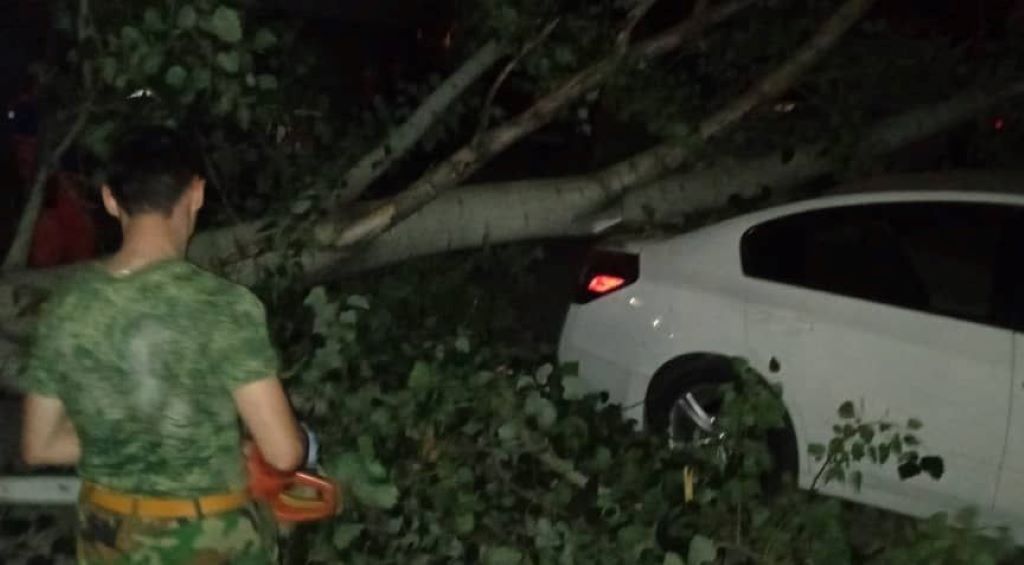 photo_2022-05-23_14-45-52