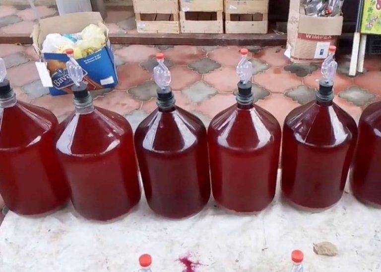 photo_2022-05-30_09-32-04