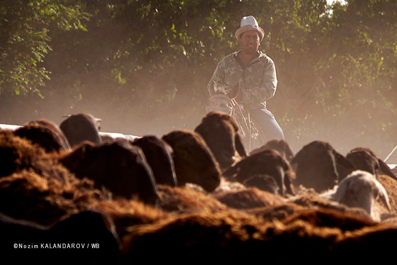 278577790_3138950543021664_4040832642659840760_n