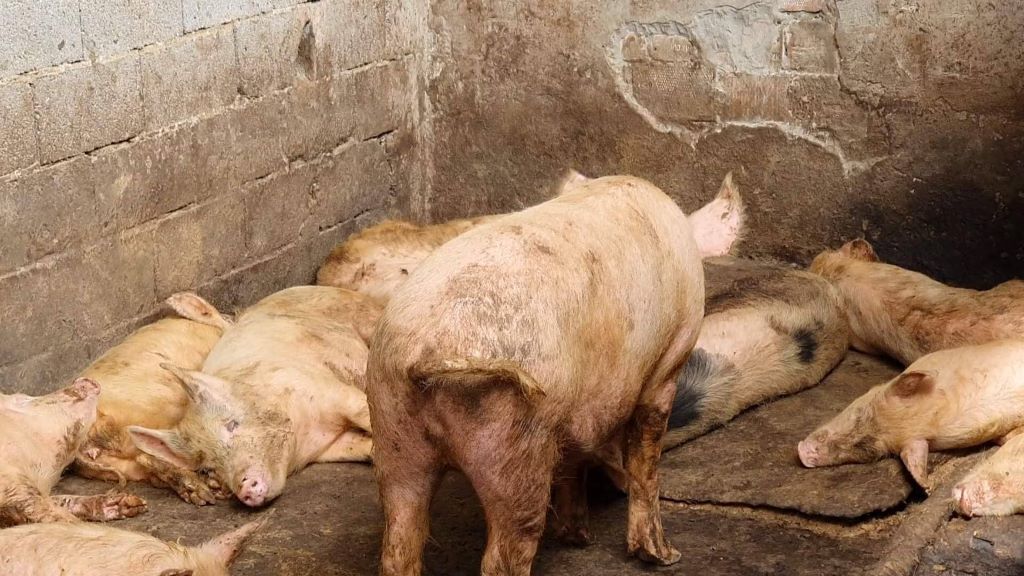 286296801_1362796644198935_7158269760975037612_n